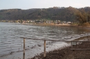 Naturschutzgebiet-Bodman-Ludwigshafen-7-4-14-Bodensee-Community-SEECHAT_DE-IMG_2194.JPG