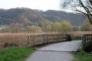 Naturschutzgebiet-Bodman-Ludwigshafen-7-4-14-Bodensee-Community-SEECHAT_DE-IMG_2205.JPG