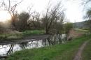 Naturschutzgebiet-Bodman-Ludwigshafen-7-4-14-Bodensee-Community-SEECHAT_DE-IMG_2206.JPG