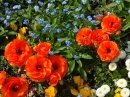 BADEN-BADEN-FINE_ART-140420-20-04-2014-Bodenseecommunity-seechat_de-DSCF4764.JPG