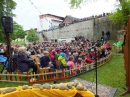 RIEDLINGEN-FLOHMARKT-140517-17-05-2014-Bodenseecommunity-seechat_de-DSCF5471.JPG