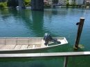 SlowUp-Schaffhausen-Hegau-18052014-Bodensee-Community-SEECHAT_CH-1_758_.JPG