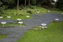 Insel-Mainau-280514-Bodensee-Community-Seechat_de--5495.jpg