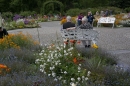 Insel-Mainau-280514-Bodensee-Community-Seechat_de--5511.jpg