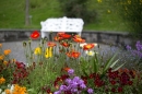 Insel-Mainau-280514-Bodensee-Community-Seechat_de--5512.jpg