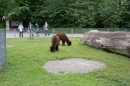 Insel-Mainau-280514-Bodensee-Community-Seechat_de--5522.jpg