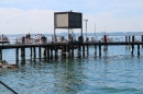CRO-TagAmSee-Red-Bull-Bregenz-07-06-2014-Bodensee-Community-SEECHAT_AT-IMG_0372.JPG