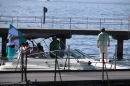 CRO-TagAmSee-Red-Bull-Bregenz-07-06-2014-Bodensee-Community-SEECHAT_AT-kroIMG_0001_45_.JPG