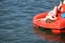 CRO-TagAmSee-Red-Bull-Bregenz-07-06-2014-Bodensee-Community-SEECHAT_AT-kroIMG_0001_733_.JPG