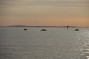 CRO-TagAmSee-Red-Bull-Bregenz-07-06-2014-Bodensee-Community-SEECHAT_AT-kroIMG_0001_830_.JPG