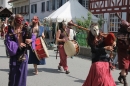 Mittelalterfest-Elgg-Winterthur-15062014-Bodensee-Community-SEECHAT_DE-IMG_8210.JPG