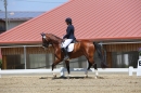 Reitturnier-Dettingen-Wallhausen-220614-Bodensee-Community-SEECHAT_DE-IMG_4602.JPG