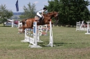 Reitturnier-Dettingen-Wallhausen-220614-Bodensee-Community-SEECHAT_DE-IMG_4917.JPG