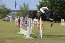 Reitturnier-Dettingen-Wallhausen-220614-Bodensee-Community-SEECHAT_DE-IMG_4961.JPG
