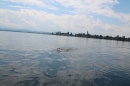 Bodenseequerung-Nathalie-Pohl-25-6-2014-Bodensee-Community-SEECHAT_DE-IMG_5318.JPG