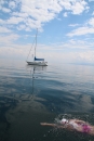 Bodenseequerung-Nathalie-Pohl-25-6-2014-Bodensee-Community-SEECHAT_DE-IMG_5328.JPG
