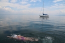 Bodenseequerung-Nathalie-Pohl-25-6-2014-Bodensee-Community-SEECHAT_DE-IMG_5338.JPG