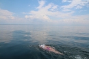 Bodenseequerung-Nathalie-Pohl-25-6-2014-Bodensee-Community-SEECHAT_DE-IMG_5353.JPG