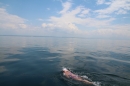 Bodenseequerung-Nathalie-Pohl-25-6-2014-Bodensee-Community-SEECHAT_DE-IMG_5354.JPG