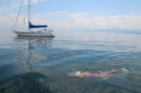 Bodenseequerung-Nathalie-Pohl-25-6-2014-Bodensee-Community-SEECHAT_DE-IMG_5357.JPG
