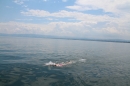 Bodenseequerung-Nathalie-Pohl-25-6-2014-Bodensee-Community-SEECHAT_DE-IMG_5366.JPG