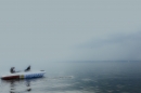 Bodenseequerung-Nathalie-Pohl-25062014-Bodensee-Community-SEECHAT_DE-31.jpg