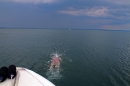 Bodenseequerung-Nathalie-Pohl-25062014-Bodensee-Community-SEECHAT_DE-39.jpg