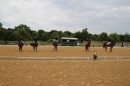 Reitturnier-Ueberlingen-28-06-2014-Bodensee-Community-SEECHAT_DE-IMG_5985.JPG