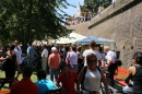 Internationales-Donaufest-Ulm-06-07-2014-Bodensee-Community-SEECHAT_DE-IMG_6333.JPG