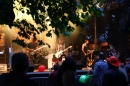 Rock_Im_Vogelwald_Leimnau_12-07-2014-Community-SEECHAT_de-IMG_5247.JPG