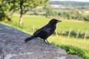 Wigald-Boning-Bodenseequerung-DE-CH-16072014-Bodensee-Community_SEECHAT_DE-IMG_6740.JPG