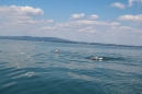 Wigald-Boning-Bodenseequerung-DE-CH-16072014-Bodensee-Community_SEECHAT_DE-IMG_6873.JPG