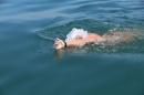 Wigald-Boning-Bodenseequerung-DE-CH-16072014-Bodensee-Community_SEECHAT_DE-IMG_7158.JPG