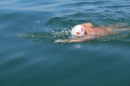 Wigald-Boning-Bodenseequerung-DE-CH-16072014-Bodensee-Community_SEECHAT_DE-IMG_7159.JPG