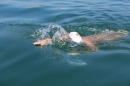 Wigald-Boning-Bodenseequerung-DE-CH-16072014-Bodensee-Community_SEECHAT_DE-IMG_7161.JPG