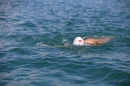 Wigald-Boning-Bodenseequerung-DE-CH-16072014-Bodensee-Community_SEECHAT_DE-IMG_7232.JPG