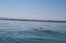 Bodenseequerung-Meik-Friedrichshafen-170714-Bodensee-Community_SEECHAT_DE-IMG_7144.JPG
