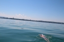 Bodenseequerung-Meik-Friedrichshafen-170714-Bodensee-Community_SEECHAT_DE-IMG_7173.JPG