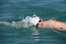 Bodenseequerung-Meik-Friedrichshafen-170714-Bodensee-Community_SEECHAT_DE-IMG_7887.JPG