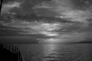 White-Night-Sonnenkoenigin-Bregenz-19-07-2014-Bodensee-Community-SEECHAT_deIMG_4187.jpg