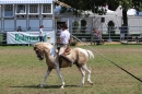 Eurocheval-Pferdemesse-270714-Offenburg-Bodensee-Community-SEECHAT_DE-IMG_0184.JPG
