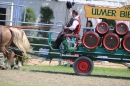 Eurocheval-Pferdemesse-270714-Offenburg-Bodensee-Community-SEECHAT_DE-IMG_0287.JPG