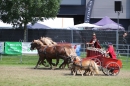 Eurocheval-Pferdemesse-270714-Offenburg-Bodensee-Community-SEECHAT_DE-IMG_0313.JPG