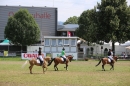 Eurocheval-Pferdemesse-270714-Offenburg-Bodensee-Community-SEECHAT_DE-IMG_9450.JPG