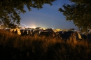 WACKEN-Open-Air-Festival-WOA-30-07-2014-Bodensee-Community-SEECHAT_DE-IMG_0860.JPG
