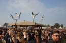 WACKEN-Open-Air-Festival-WOA-31-07-2014-Bodensee-Community-SEECHAT_DE-DSC05219.JPG