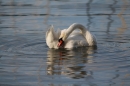 Bodenseequerung-Hamza-04-08-2014-Bodensee-Community-SEECHAT_DE-IMG_0448.JPG