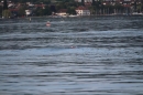 Bodenseequerung-Hamza-04-08-2014-Bodensee-Community-SEECHAT_DE-IMG_0538.JPG
