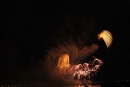 SEENACHTFEST-Feuerwerk-Konstanz-09-08-2014-Bodensee-Community_SEECHAT_DE-_83.JPG