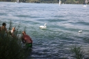 Badewannenrennen-DLRG-Bodman-10-08-2014-Bodensee-Community_SEECHAT_DE-IMG_5651.JPG